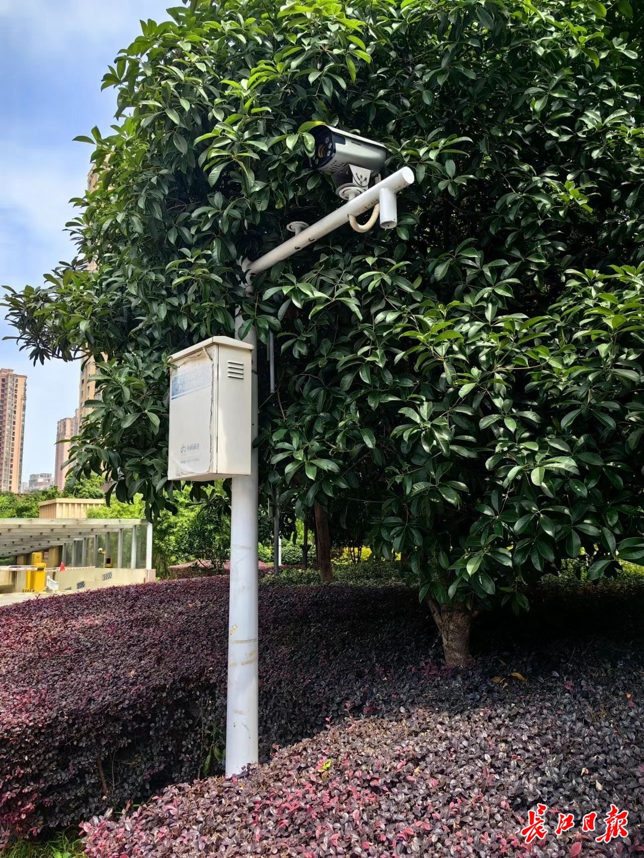 一查监控就说是盲区其实就是坏了武汉这些小区监控成摆设