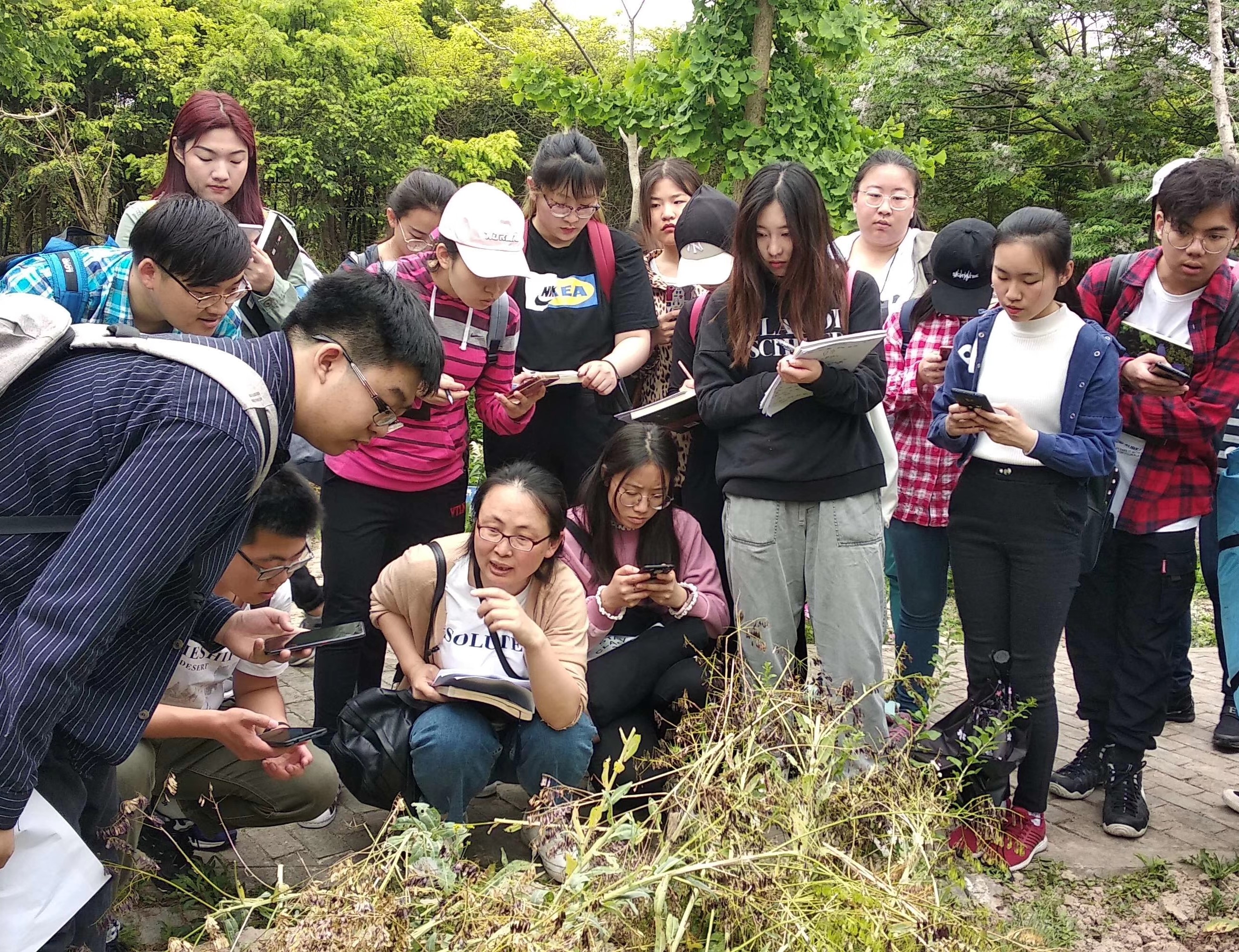 上海中医药大学中药学创新班今年首次招生全国四地招收15人