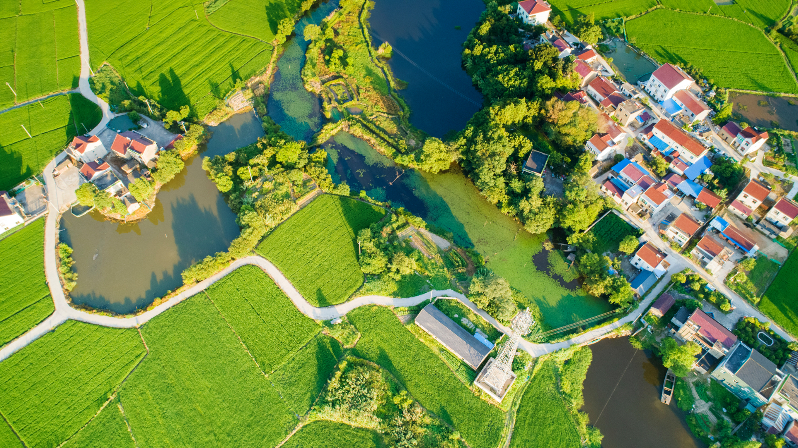 立足于资源优势和产业特色青岛乡村振兴示范片区打好产业牌