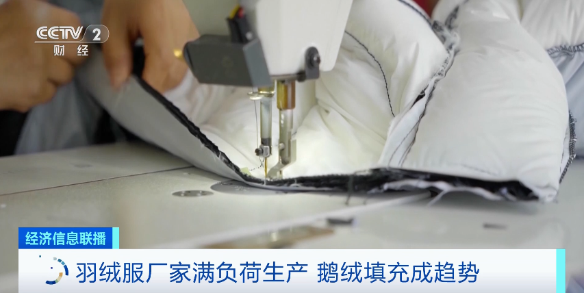 久久人妻少妇嫩草AV