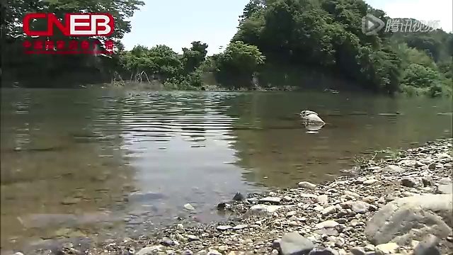 应急科普丨 所有家长 请给孩子补上这节课