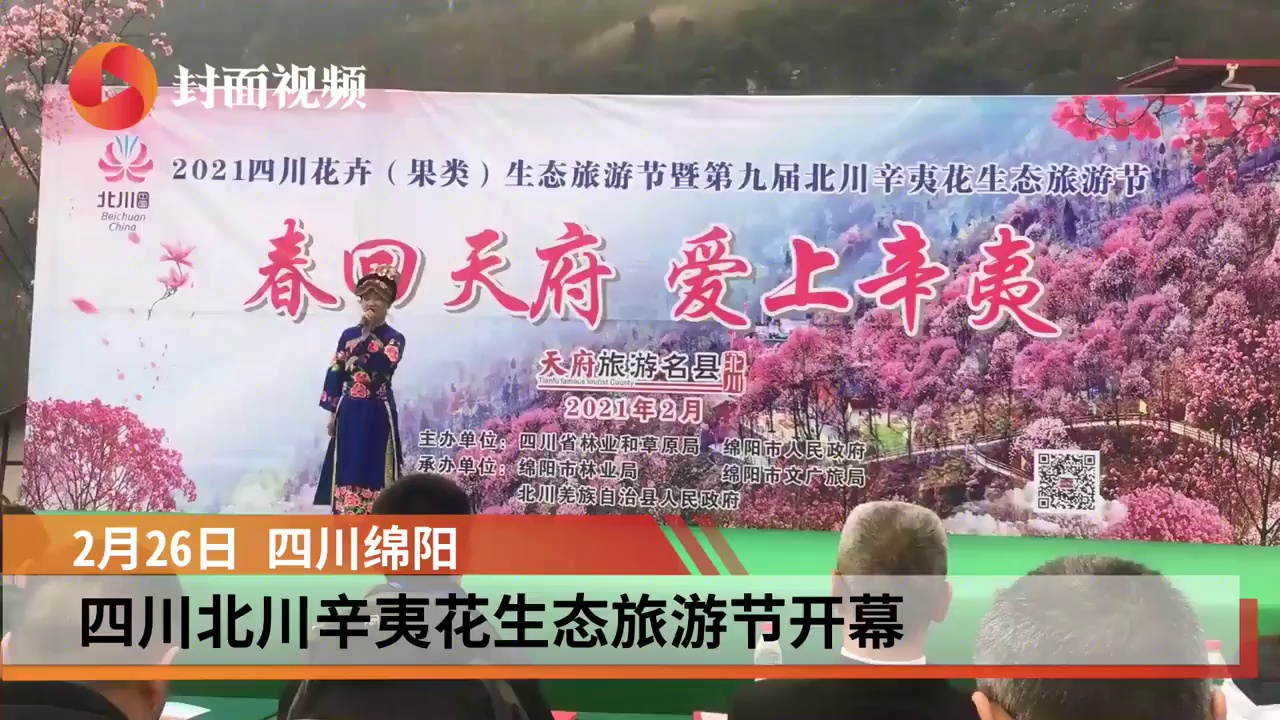 春天里与辛夷花有约四川北川辛夷花生态旅游节开幕