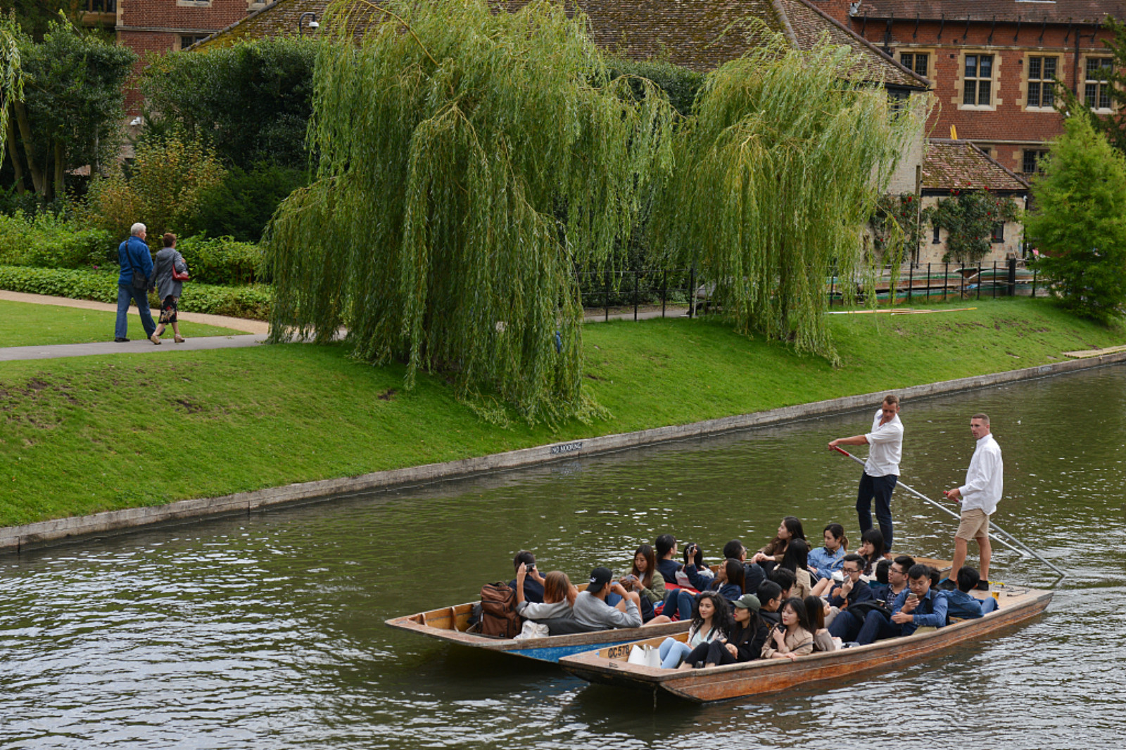 2017年8月19日,英国剑桥,载满中国学生的游船,学生一边欣赏风景疫边