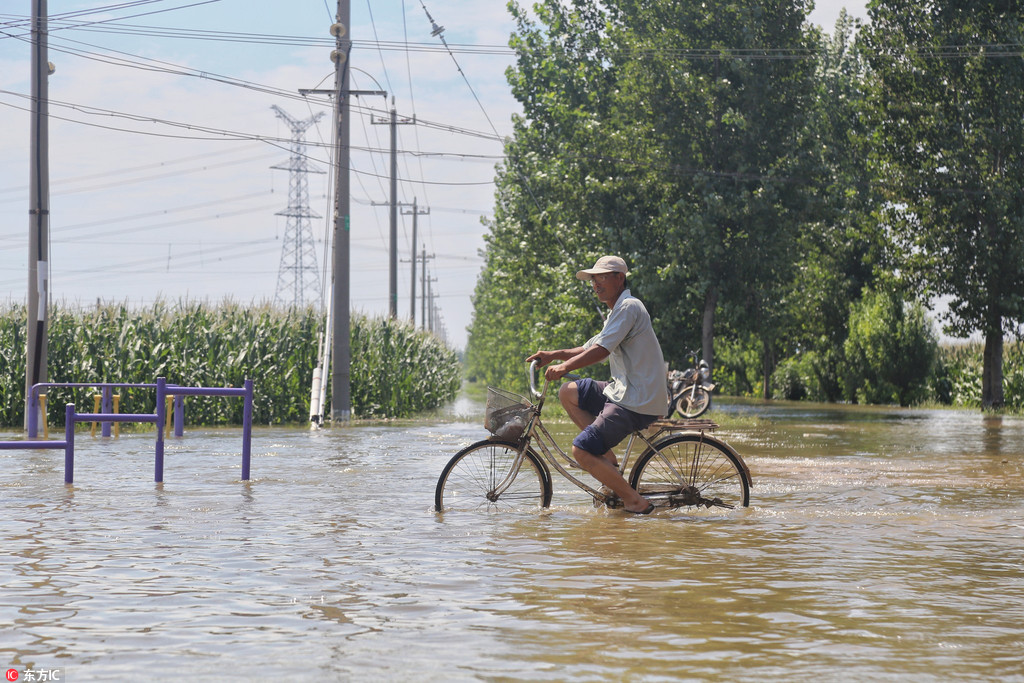 山东寿光水灾现场:一些地方仍被洪水"浸泡"