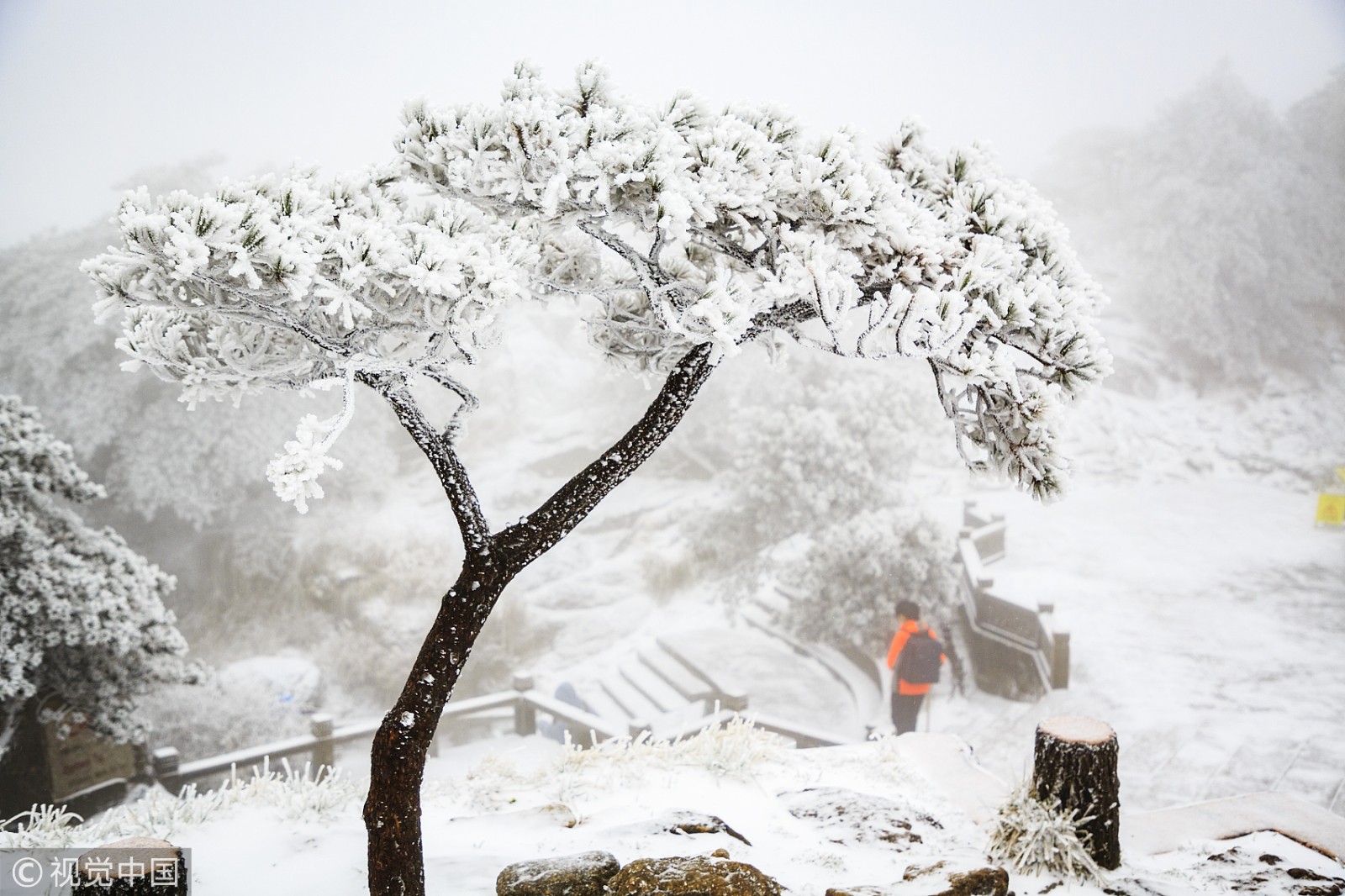 哪里下雪了