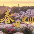 微视频 | 春暖中国_人民日报
