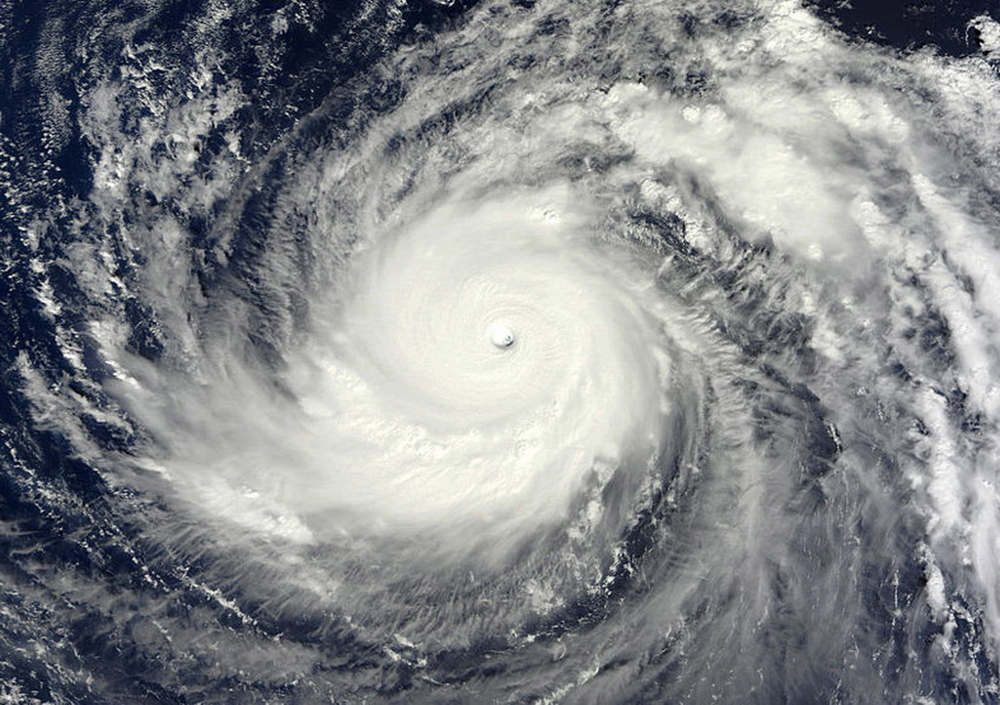 山东阳信:台风利奇马一路肆虐 水落坡严防确保校舍安全