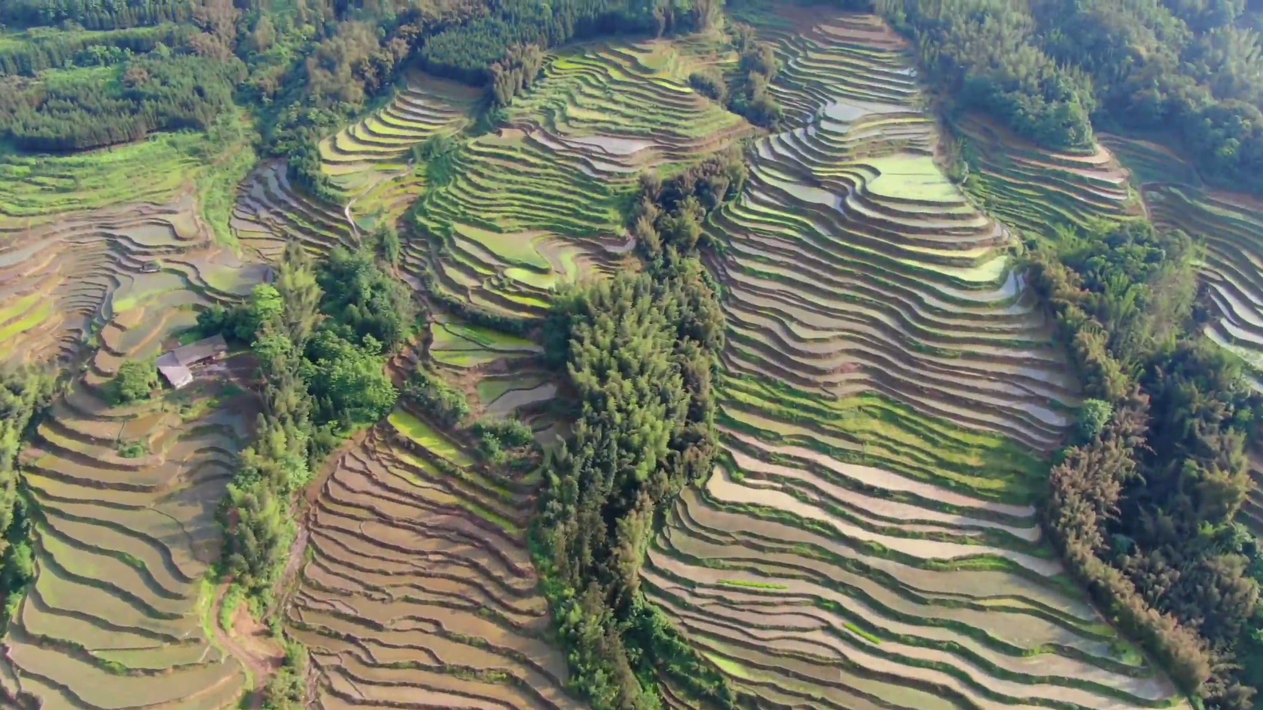 美翻了全国十大最美梯田之一的高坎梯田