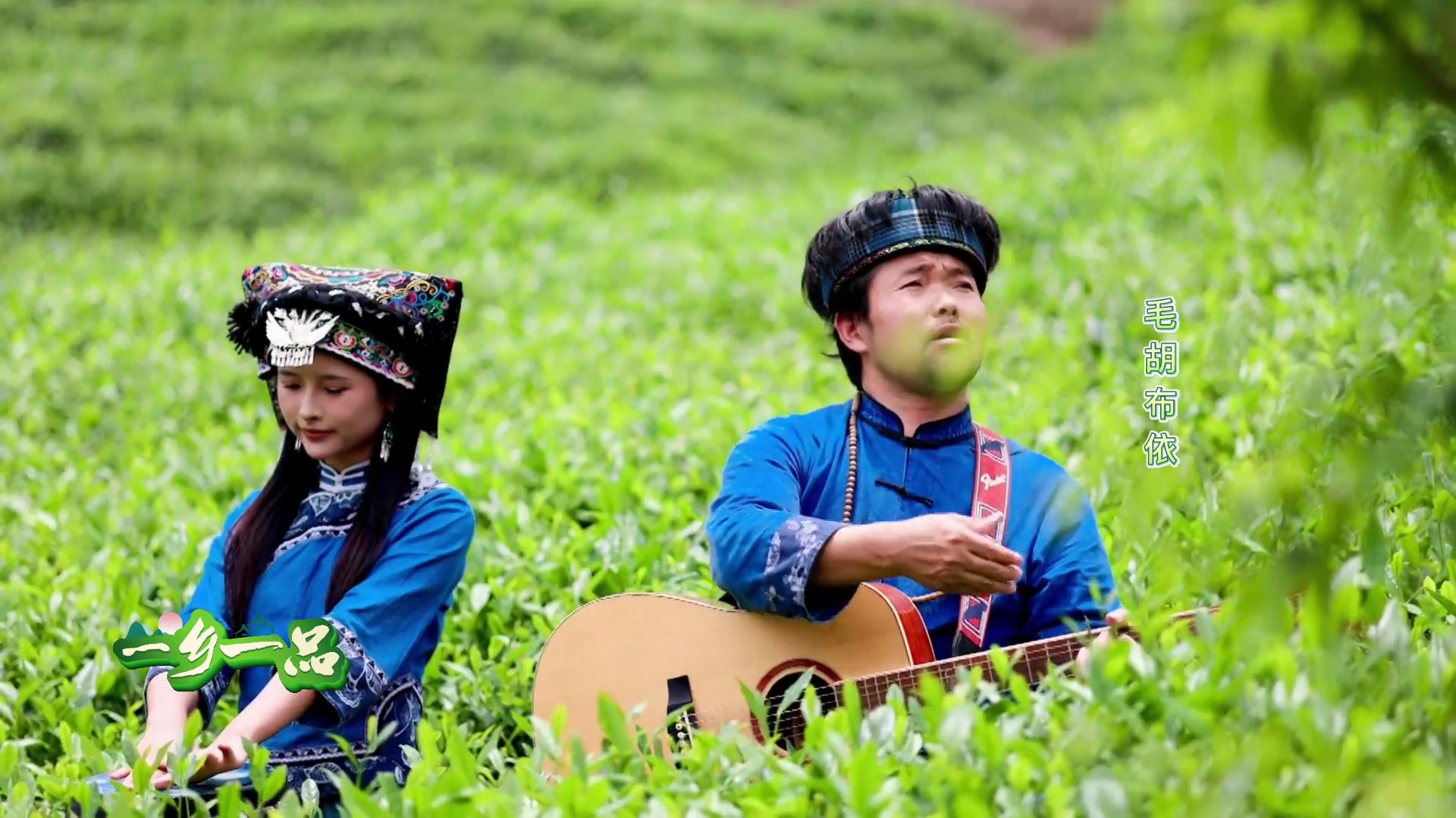 贵定县云雾茶的茶文化图片