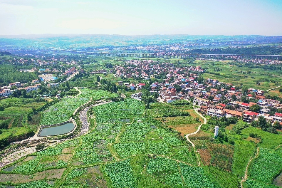 荷必远方蓝田九间房镇夏荷已开静候你来