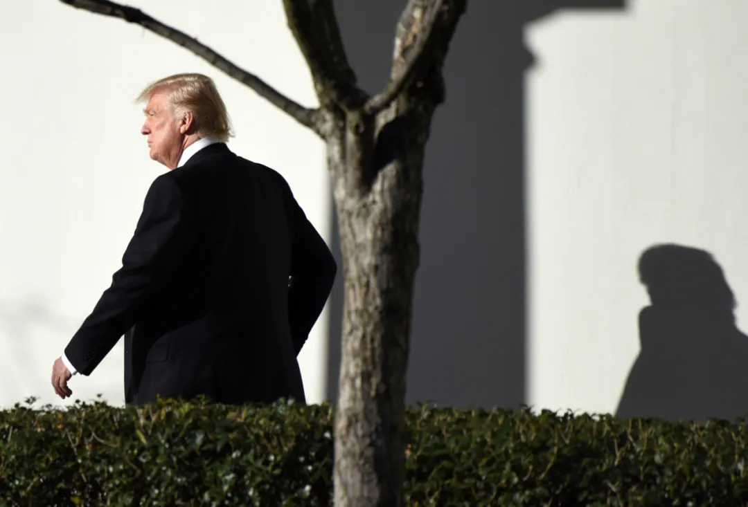 疫情|大选成了美国疫情飞起的发动机