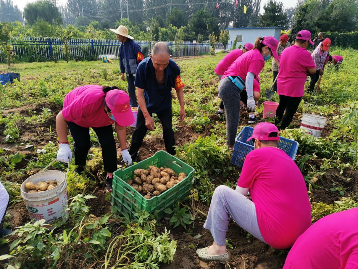 志愿服务|“延庆乡亲”志愿服务品牌金光闪闪2267个志愿团体共服务847万小时