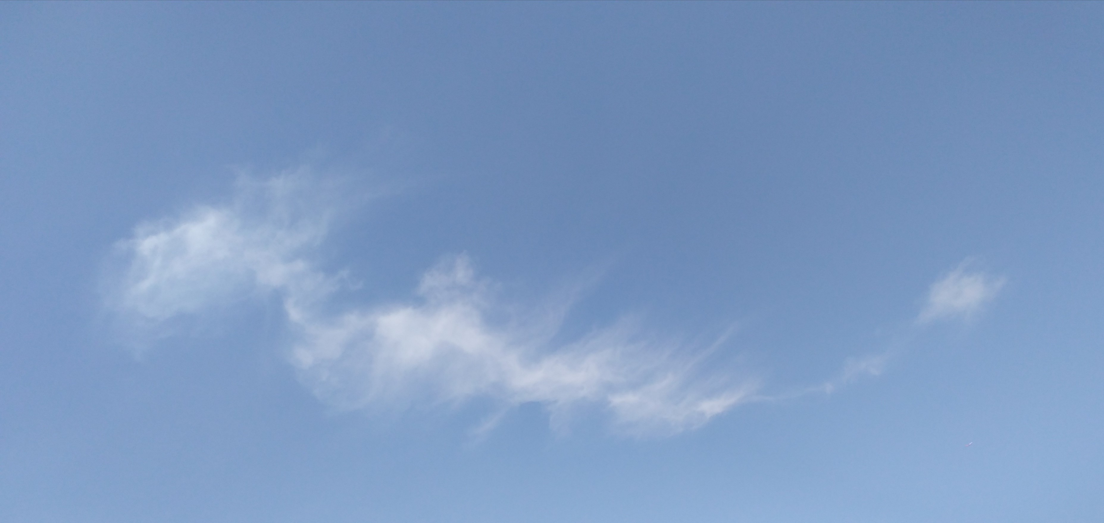 大众报业·海报新闻|美德的香气