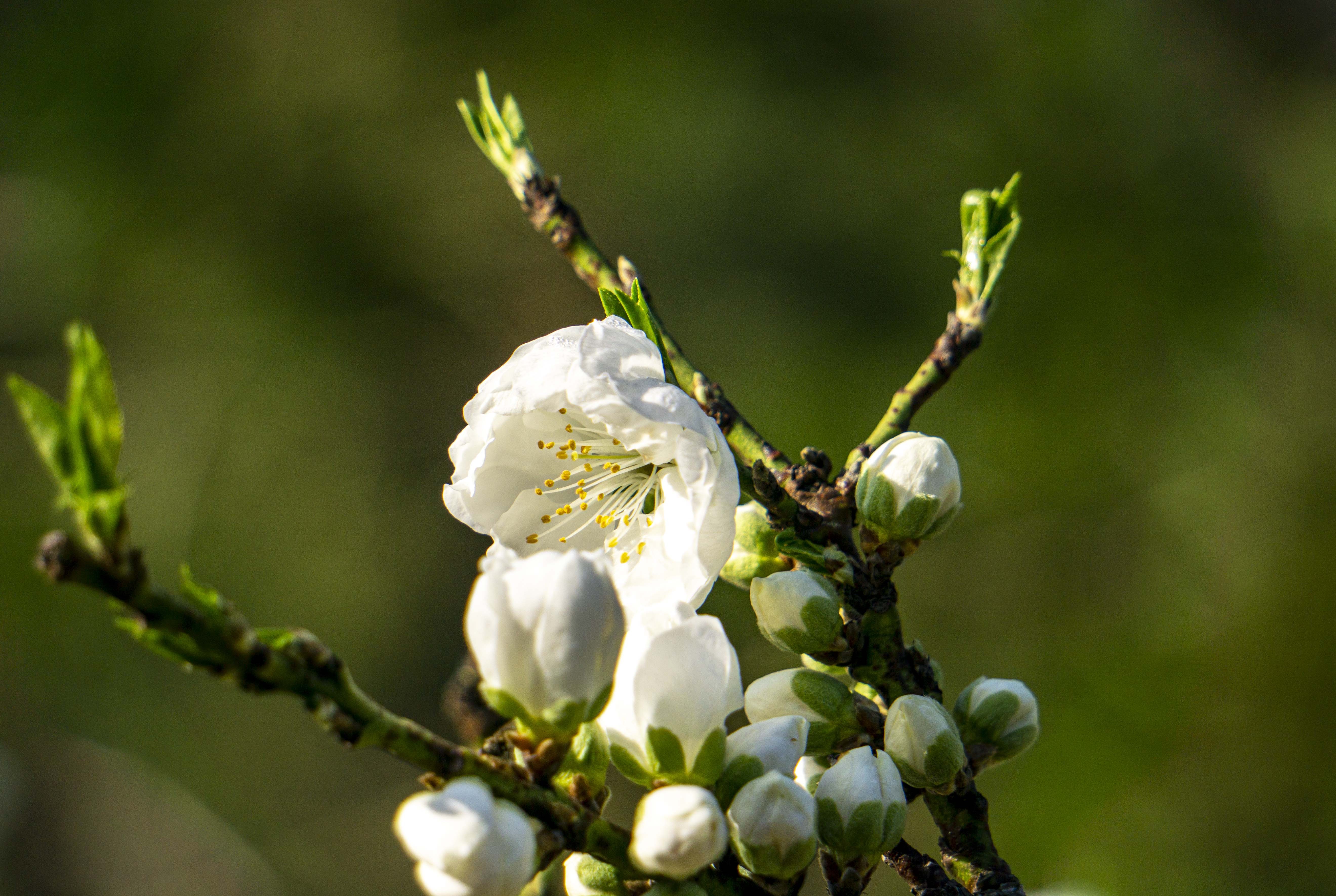 视觉中国江苏泰州春色满园游人来