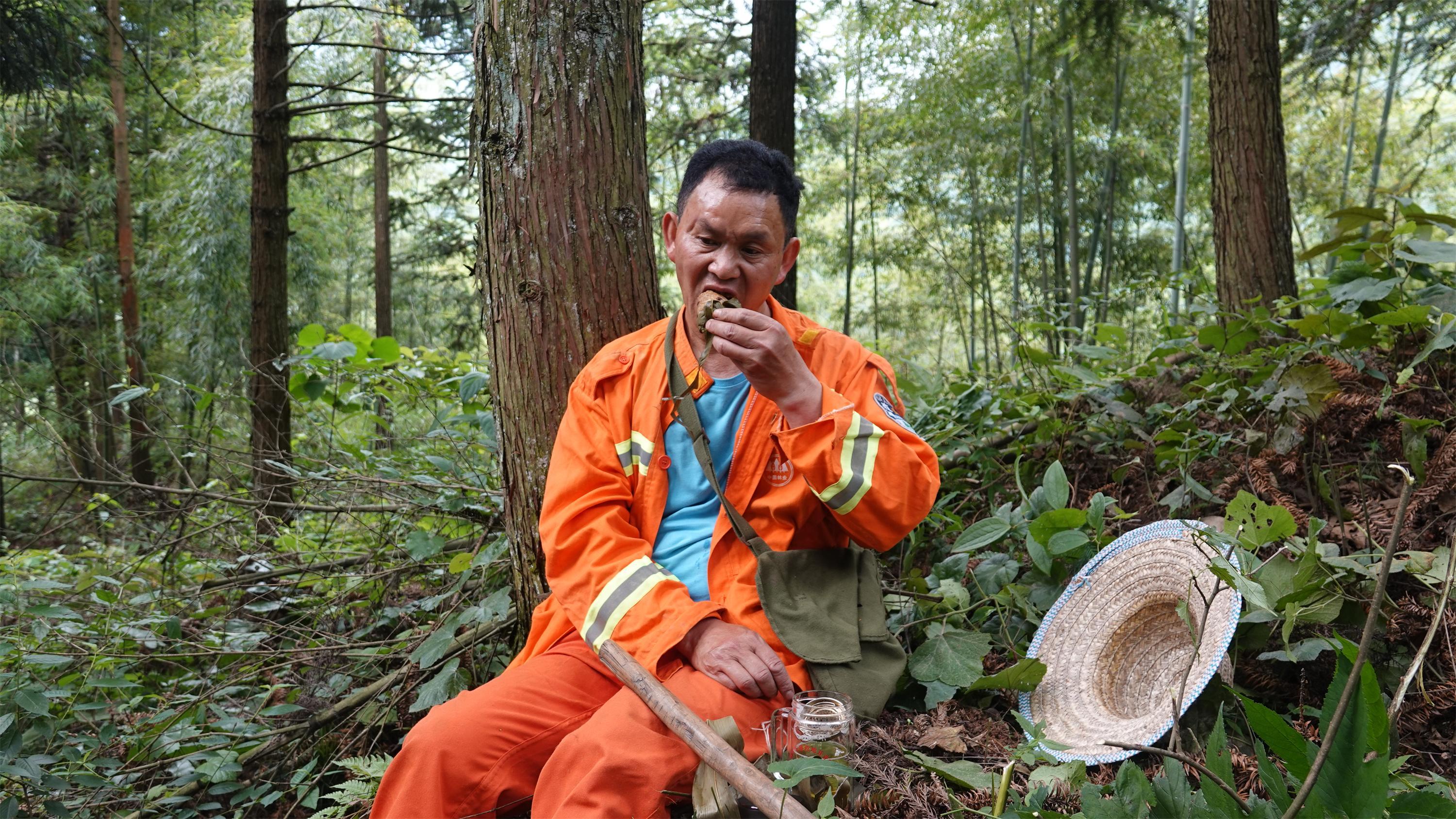 护林员杨相初:为自己守初心 以青春护林海_人民号