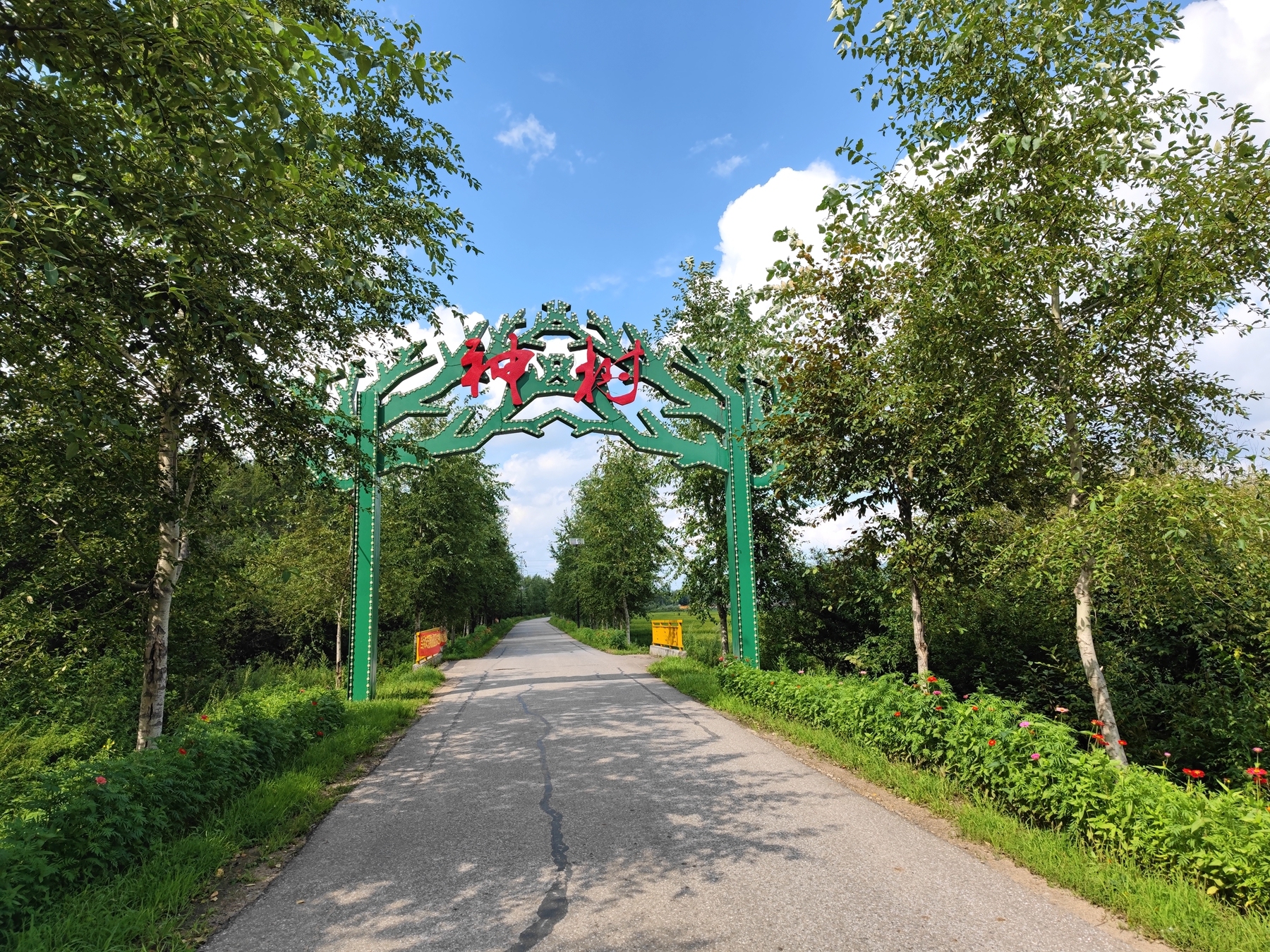 走进铁力市神树镇石长村,村内各条道路笔直,宽阔,道路两旁一排排整齐