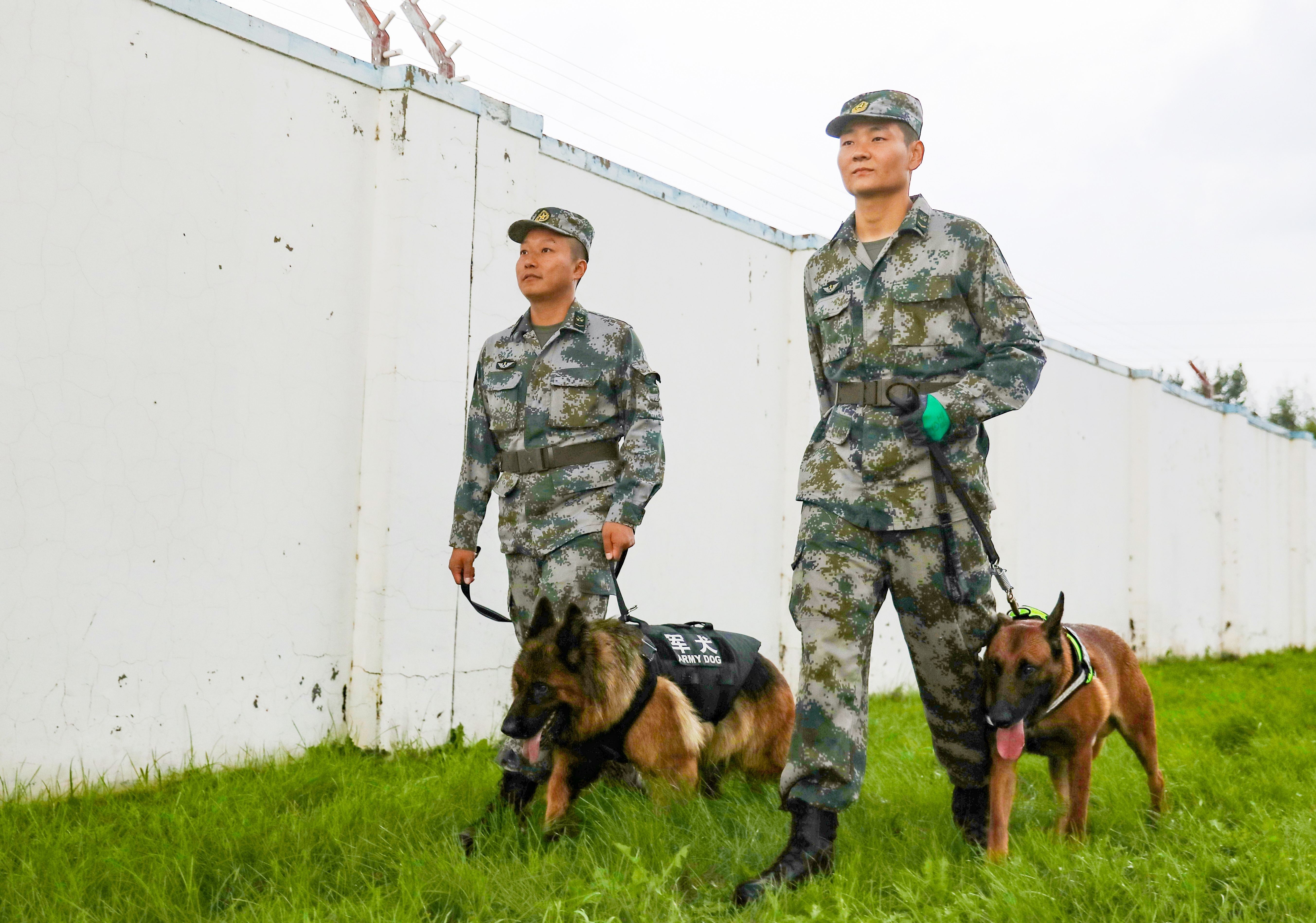 军营的特殊战斗员