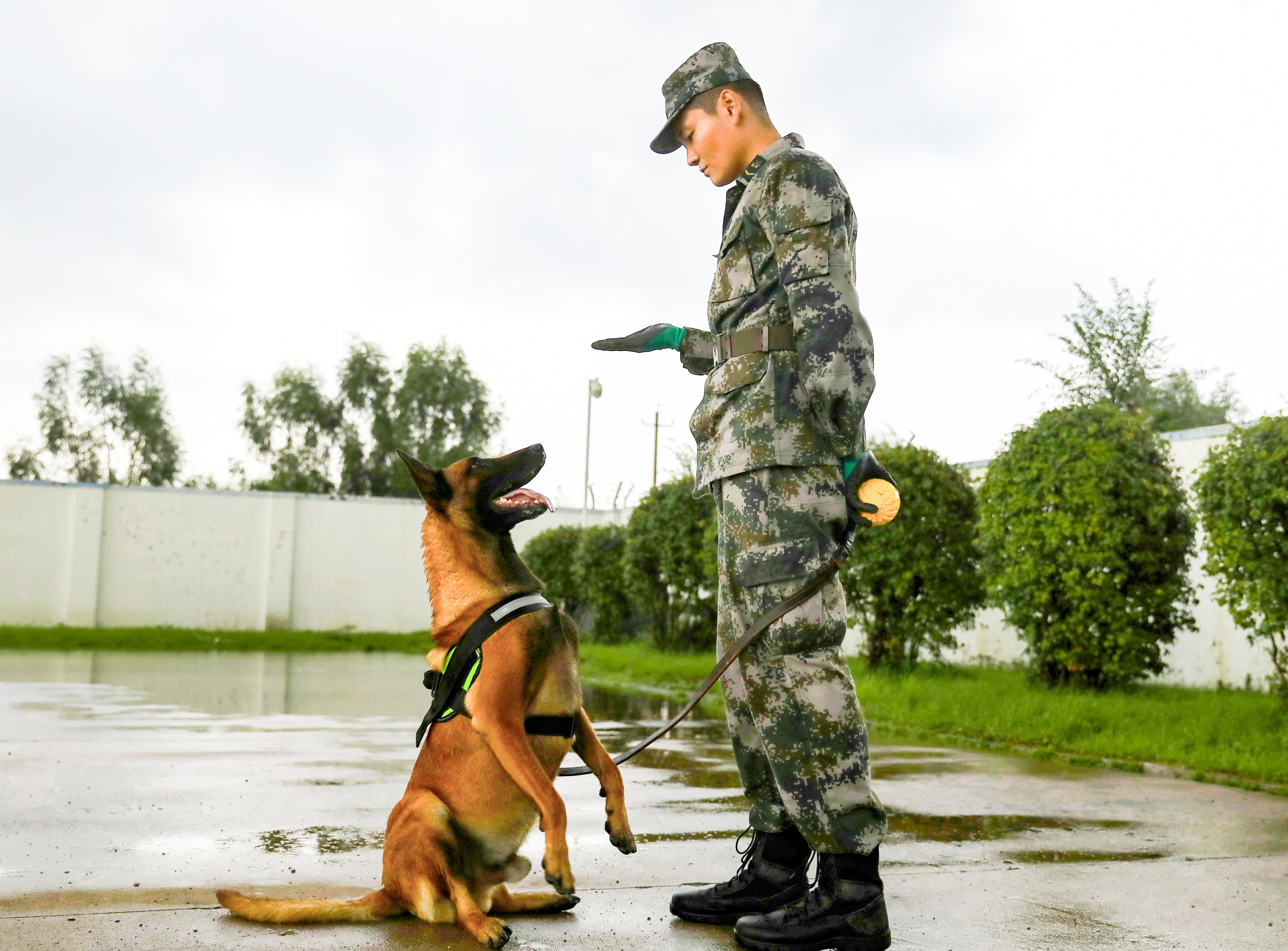 军营的特殊战斗员