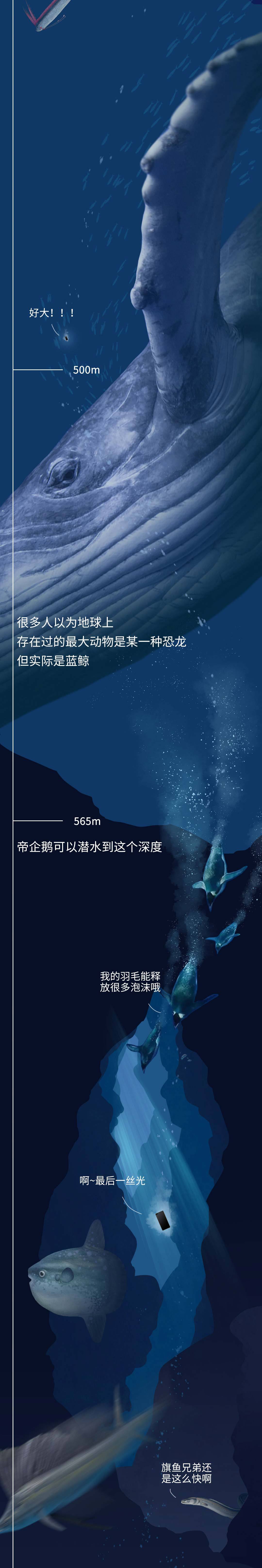 深海生物|潜入海底一万米，看看这些深海生物长得到底有多放肆！