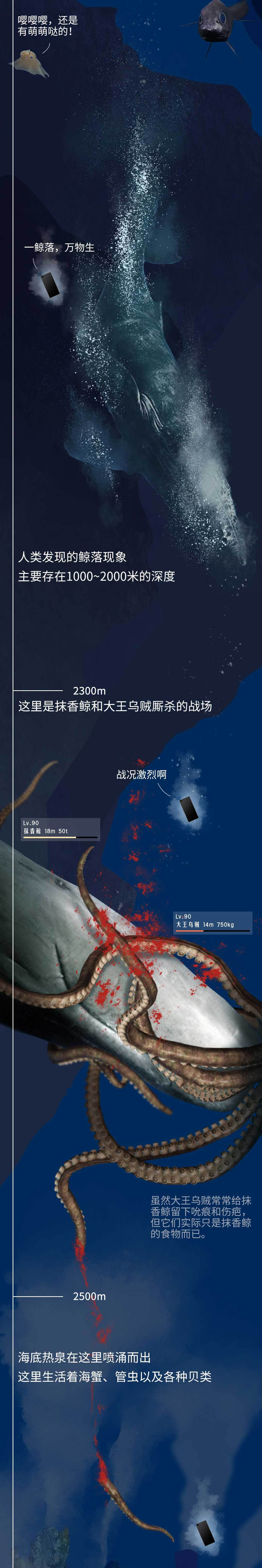 深海生物|潜入海底一万米，看看这些深海生物长得到底有多放肆！
