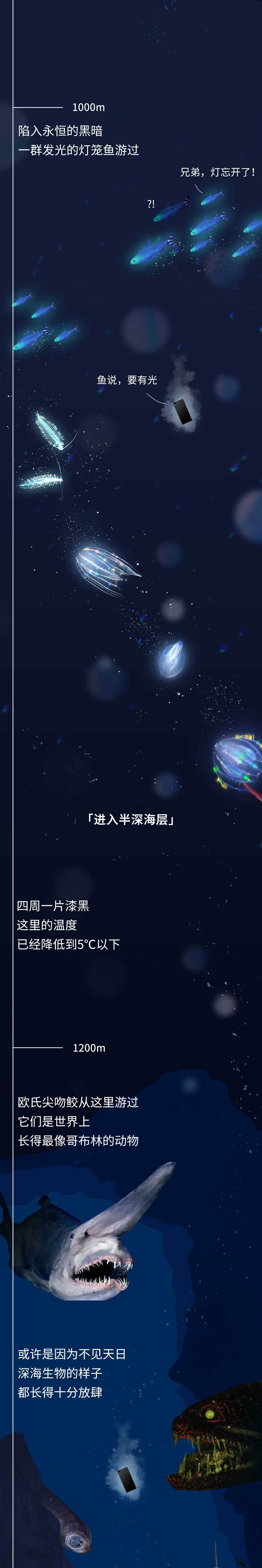 深海生物|潜入海底一万米，看看这些深海生物长得到底有多放肆！
