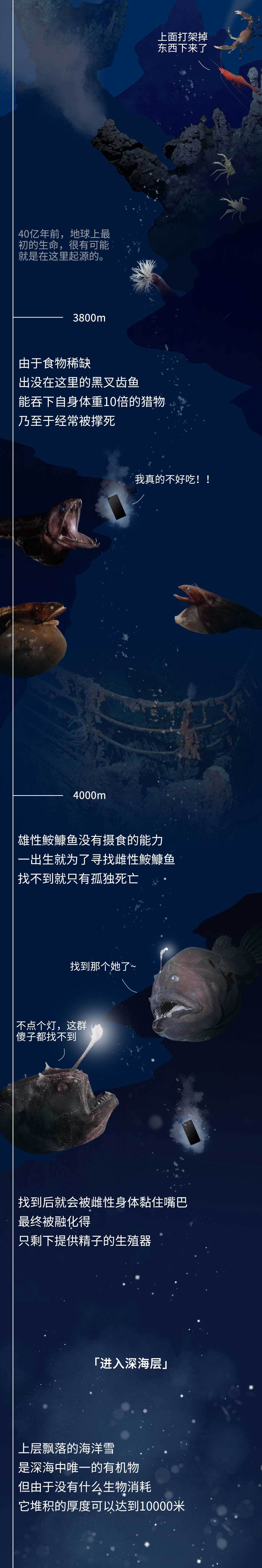 深海生物|潜入海底一万米，看看这些深海生物长得到底有多放肆！