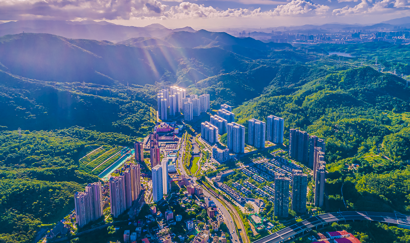 深圳葵涌连续四年推动重大项目建设加速大鹏中心城区蝶变