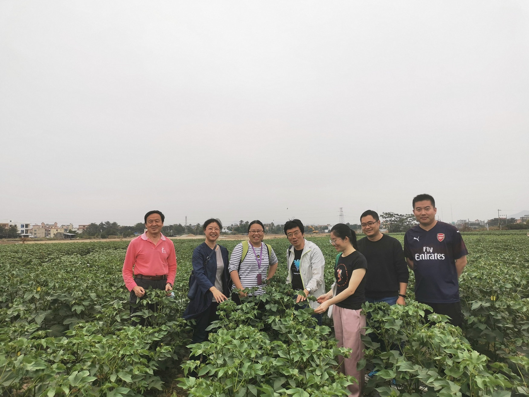 棉花|浙江大学张天真教授团队——棉花精准育种我们有“利器”