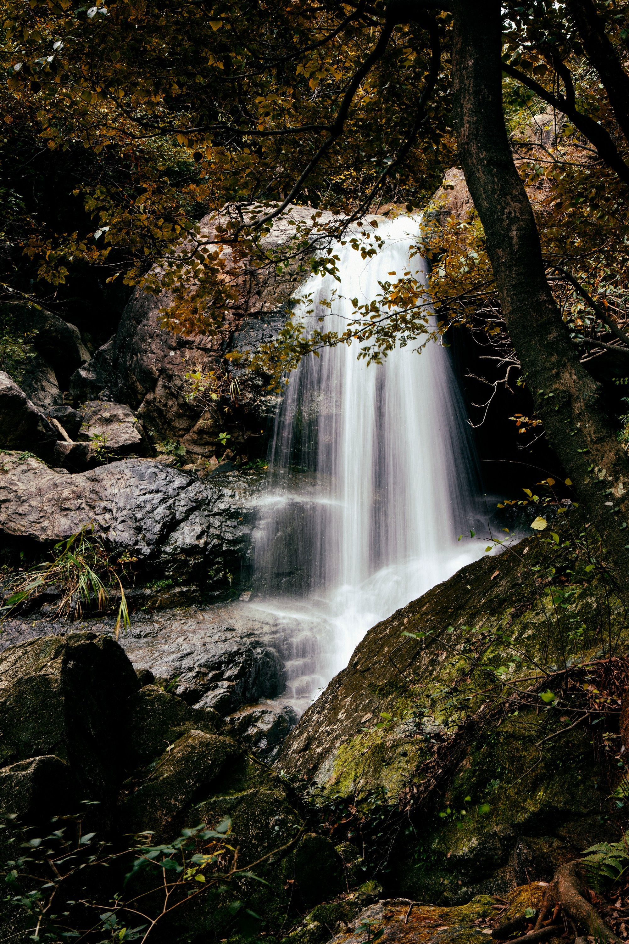 宁波市北仑区的国家4a级旅游景区——九峰山景区.