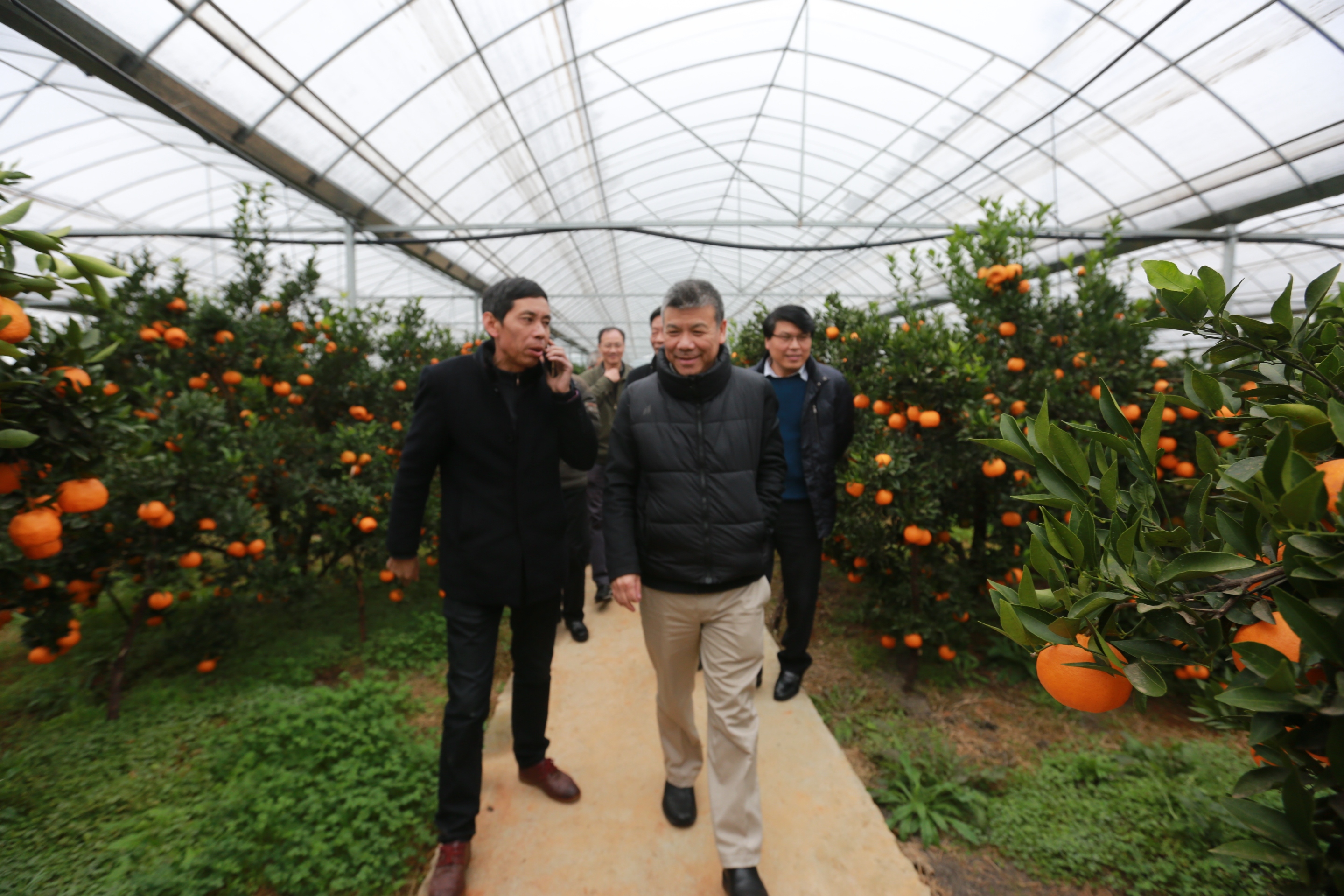 番茄|浙江大学果实品质生物学团队—— 和浙大学者一起追寻番茄果实“小时候的味道”