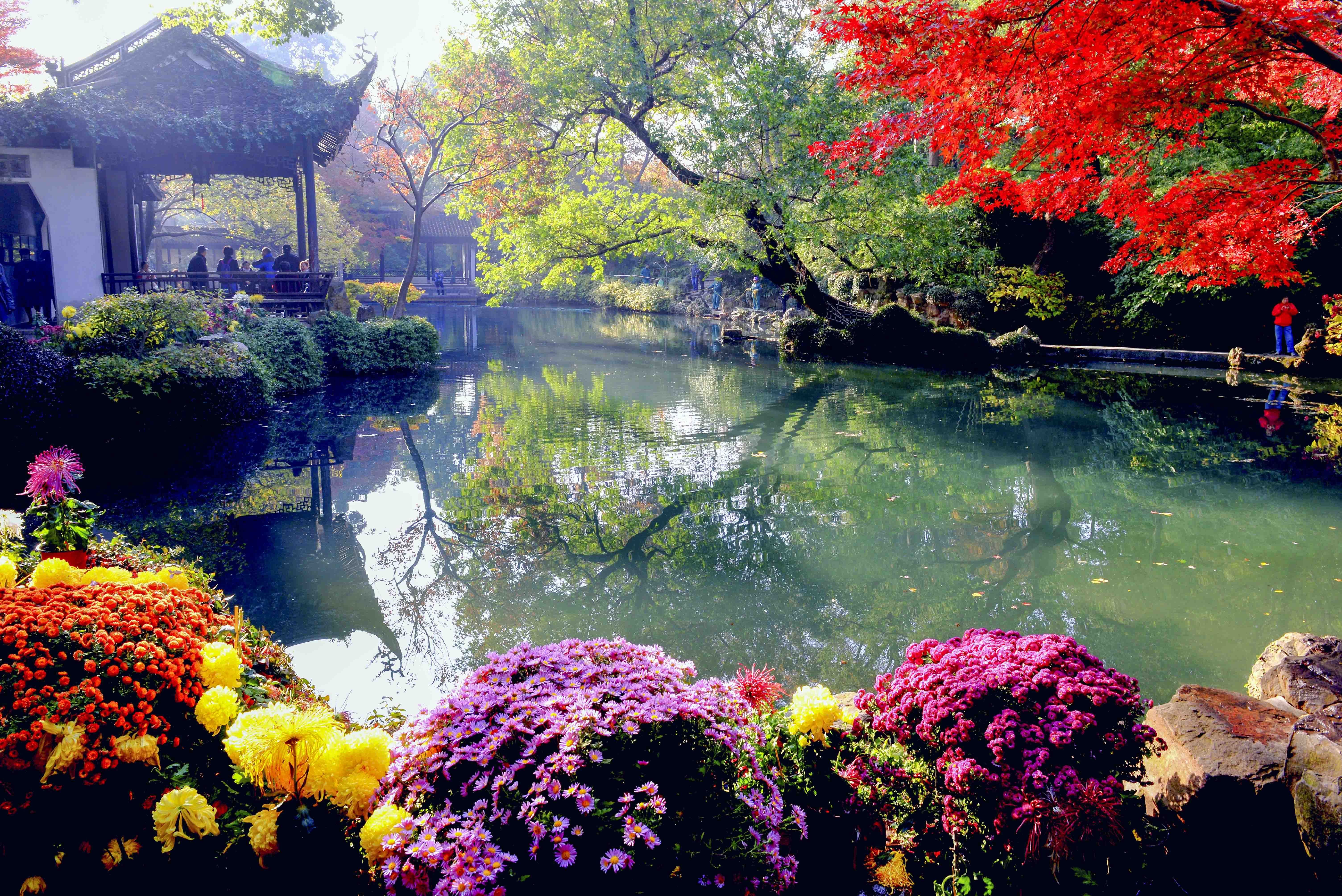 江苏无锡惠山古镇初冬景色美如画