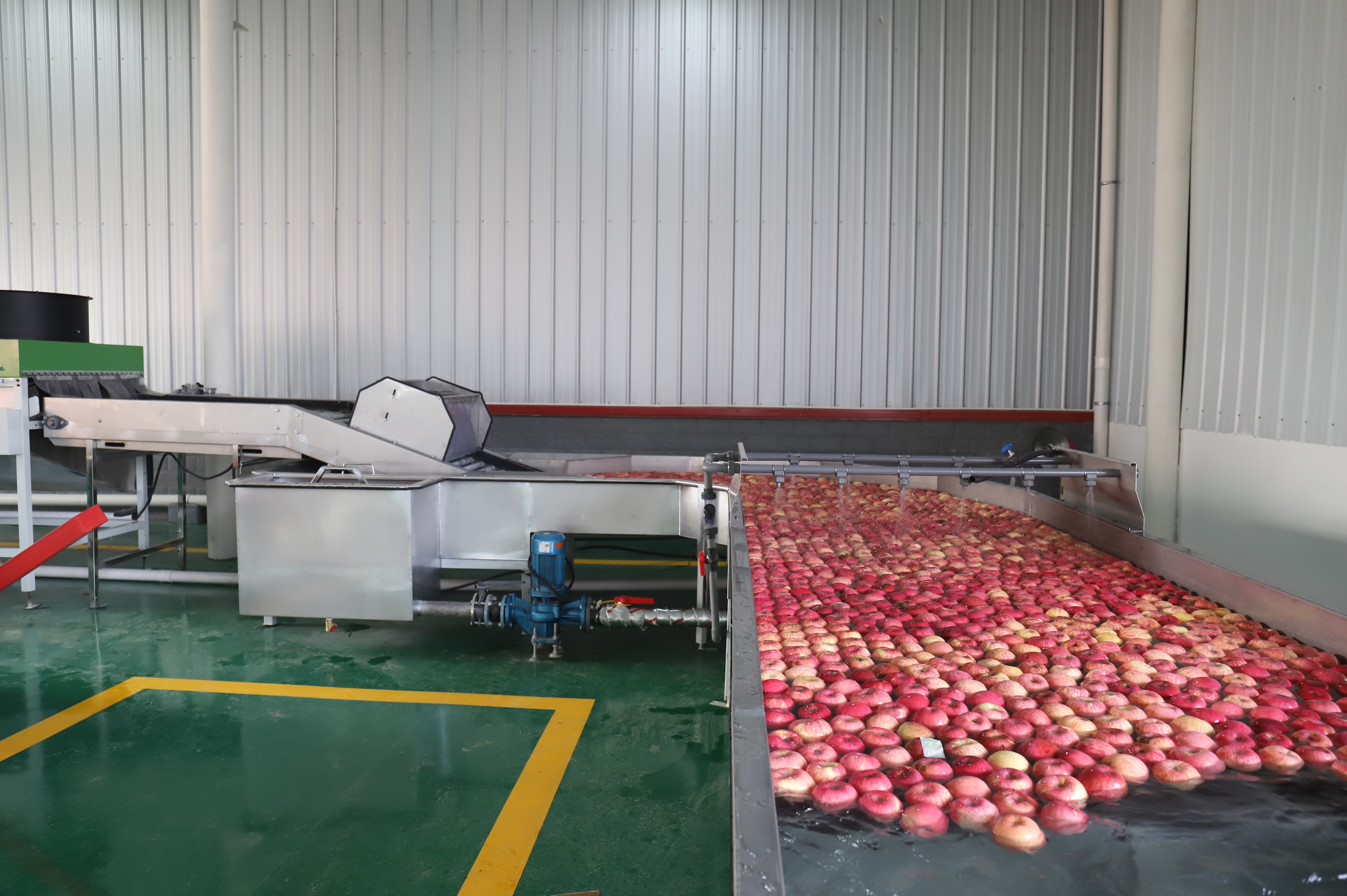 甘肃灵台苹果产业智能化分拣车间备货忙