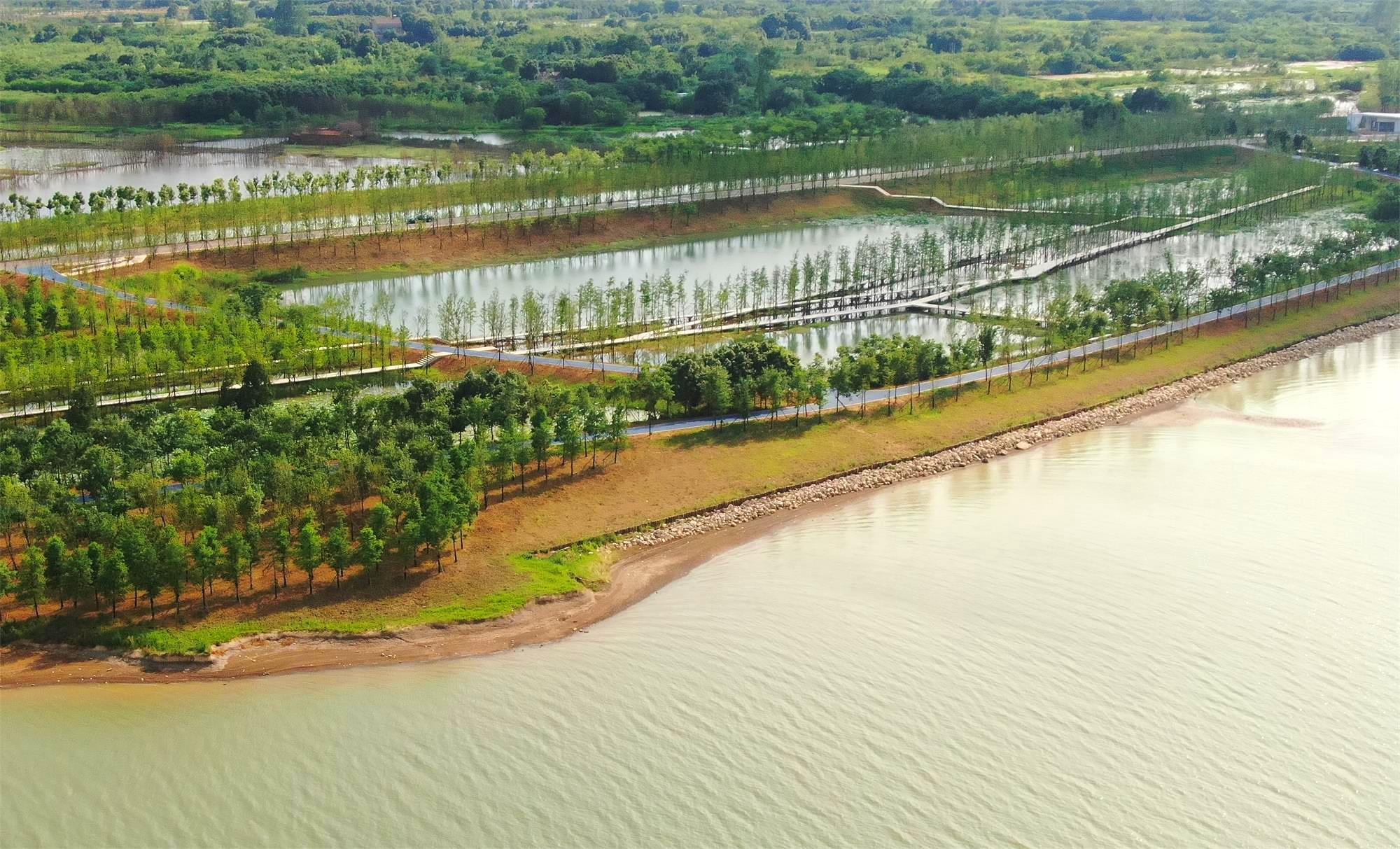 湖北荆州大美长湖水清岸绿鸟流连