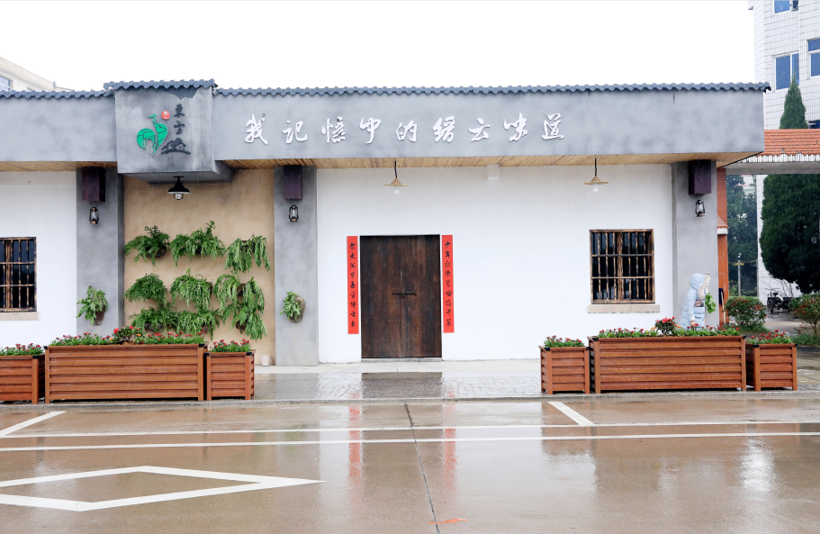 缙云东方镇小小芥菜叶撬动美丽城镇大经济