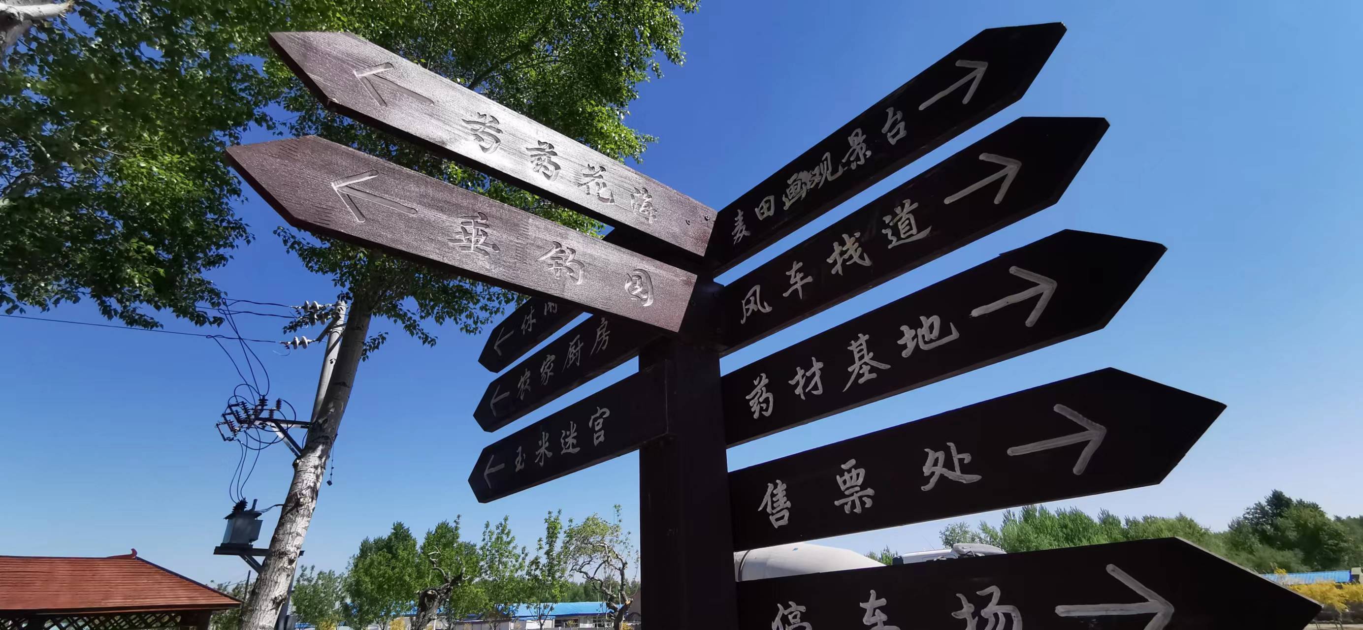 大庆市大同区大同镇农旅融合再升级乡村观光新体验