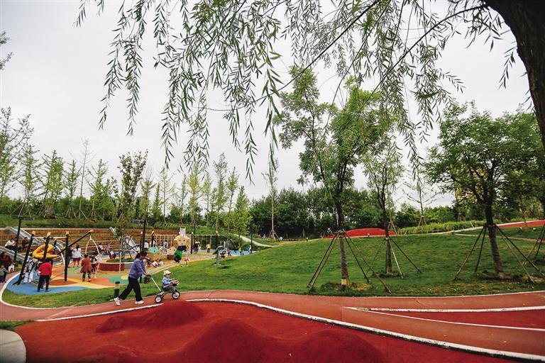 馬灘溼地公園本來是一片黃河邊的爛泥灘,經過規劃整治,如今這裡成了