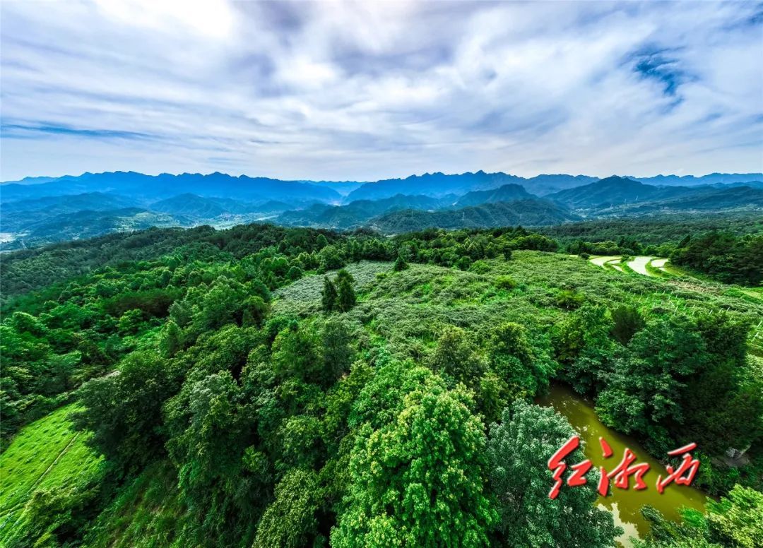 三旅融合湖南保靖陇木峒壮大村集体经济有高招