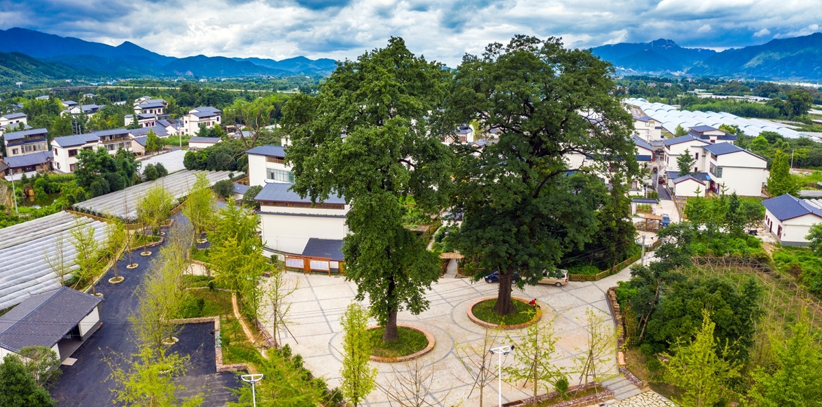 桂林2022年溶江镇摄影大赛征稿启事