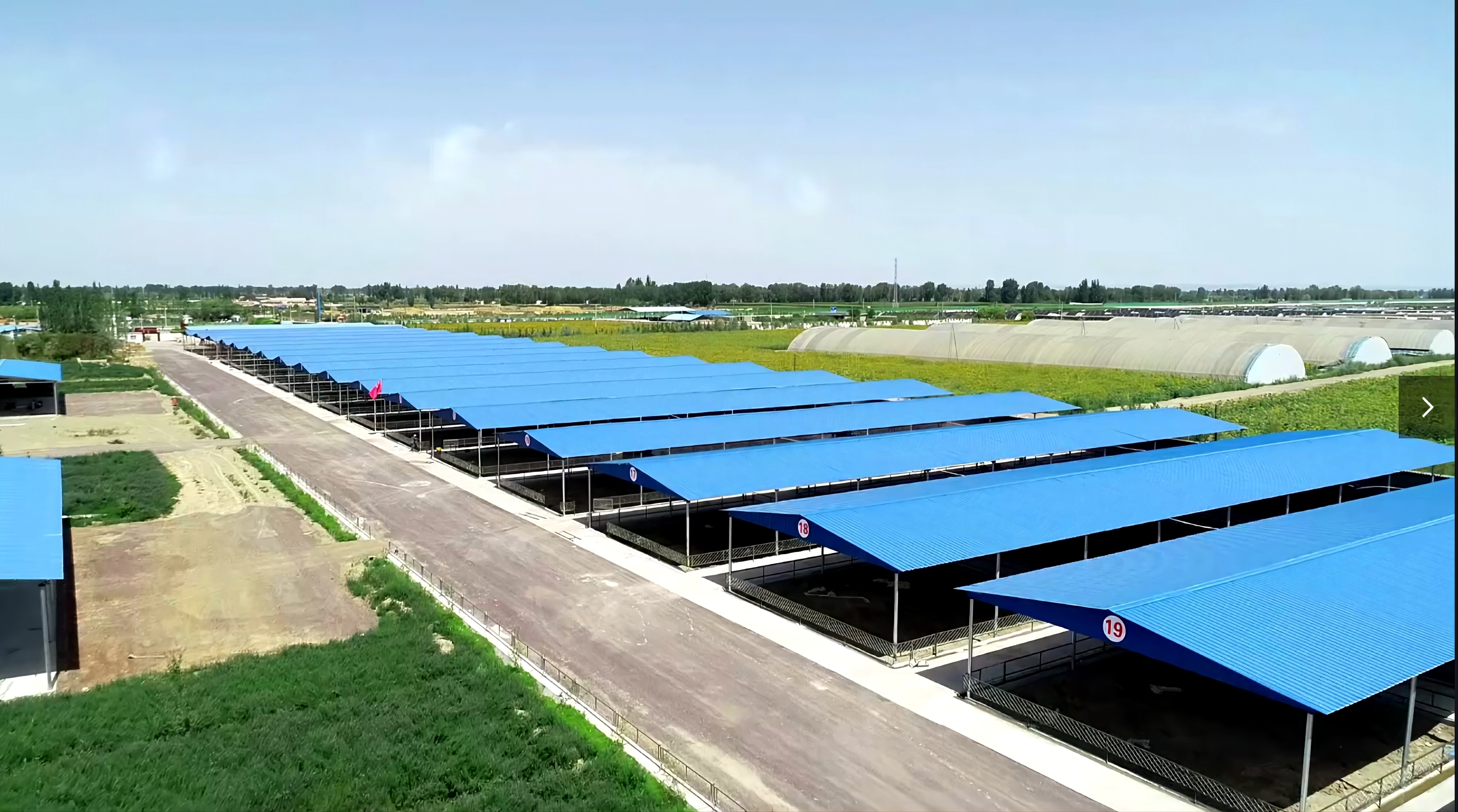 "千家万户五配套,集群集约抓园区"的思路,大力扶持标准化养殖园区建设