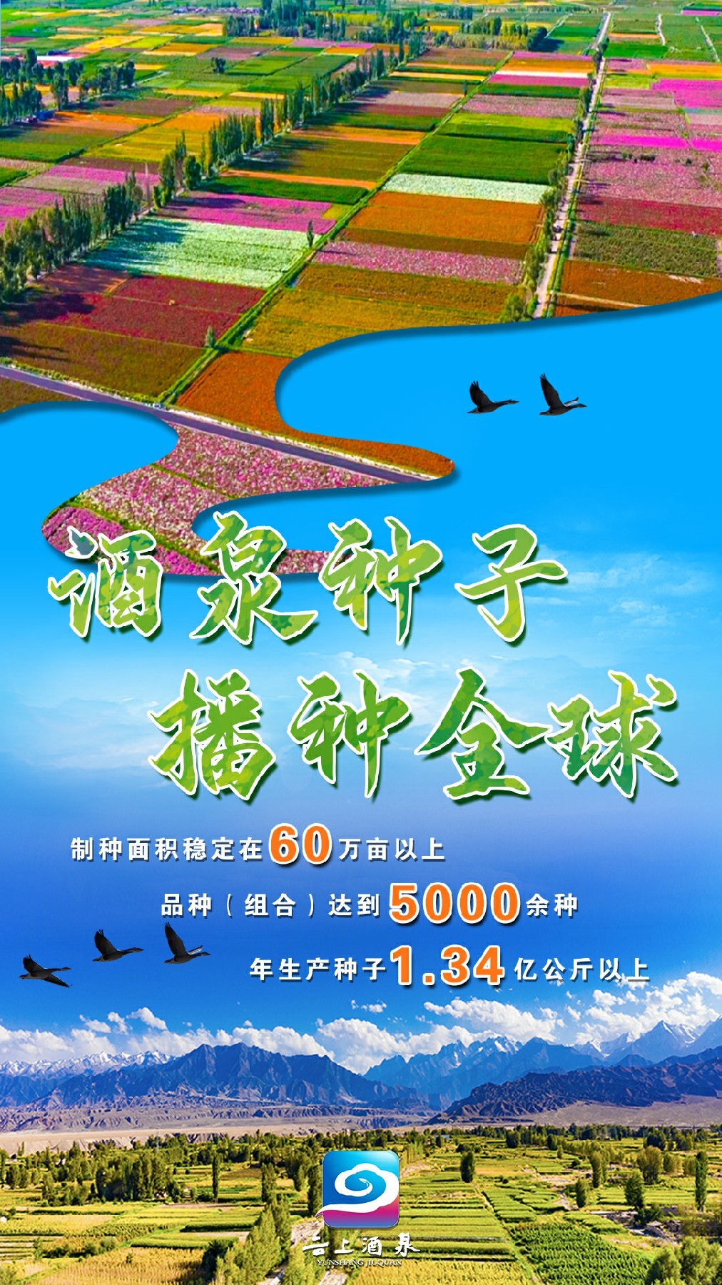 微海报丨酒泉让戈壁绿洲焕发新光彩