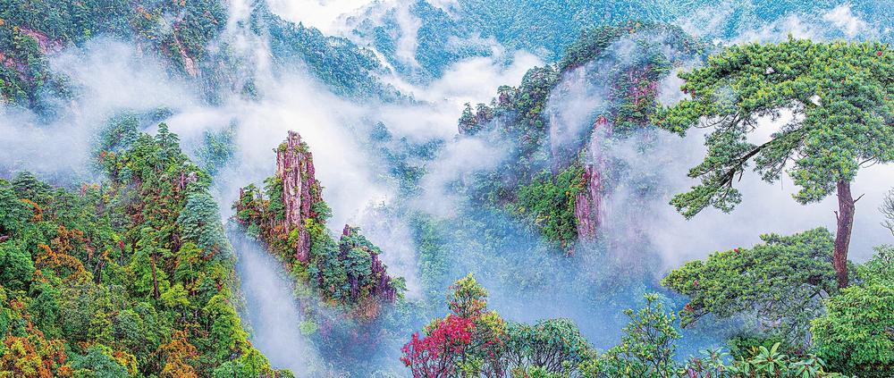 大爱无碍郴州市宜章县莽山打造全程无障碍旅游景区