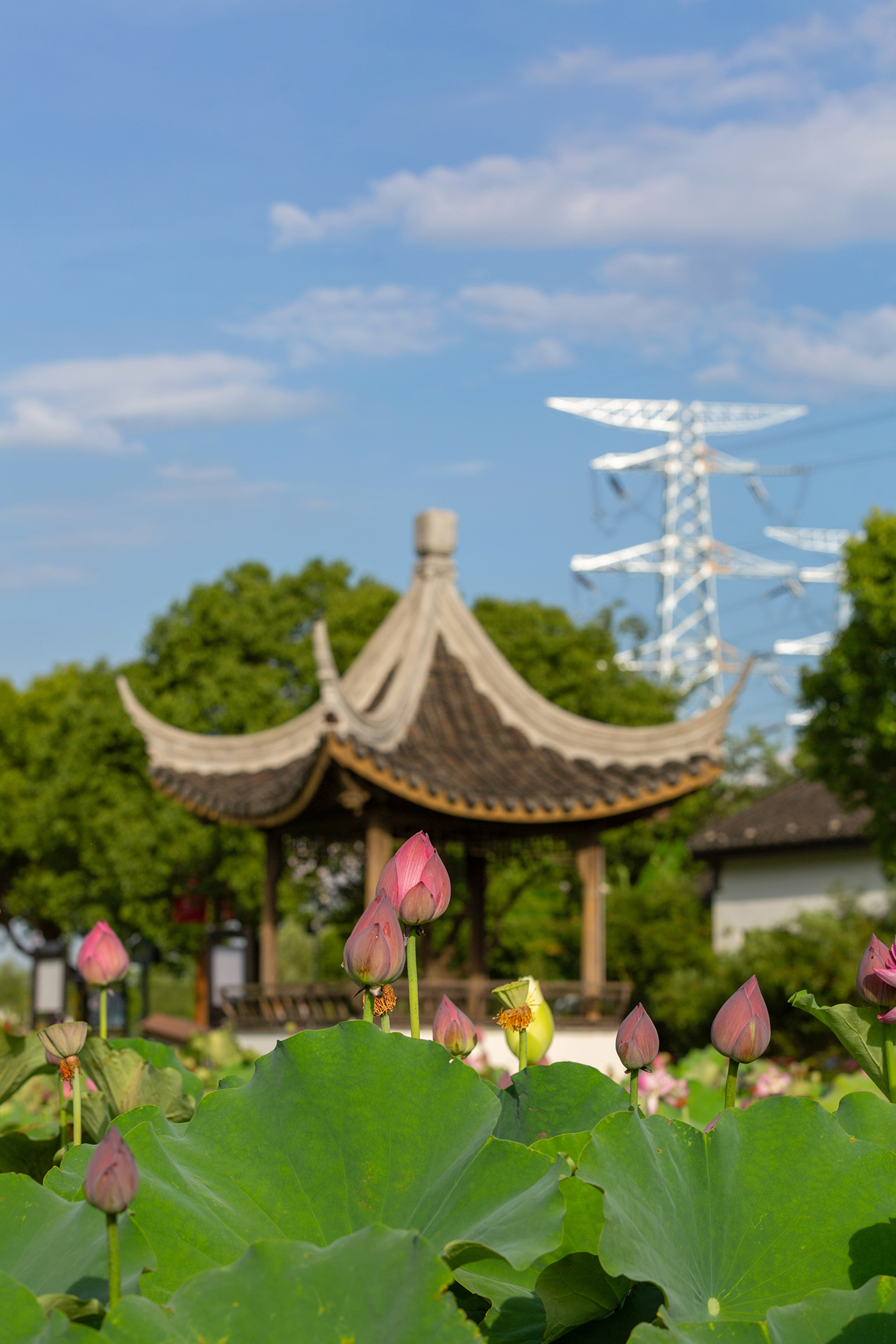 冯梦龙村:弘扬先贤之道,传承江南士子风骨_苏州游记_途牛