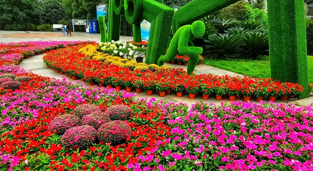 尽享公园城市微度假慢生活中秋国庆长假成都市植物园受到6万余名市民