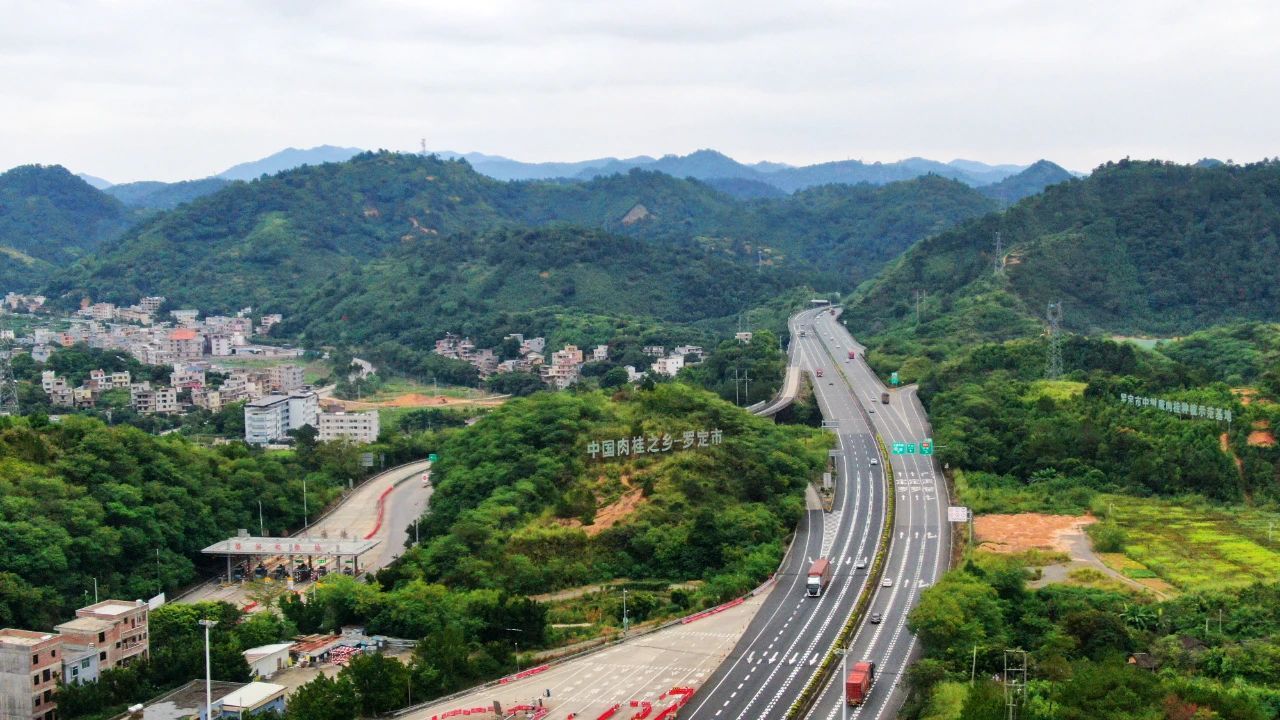 罗定市榃滨镇,有肉桂14.