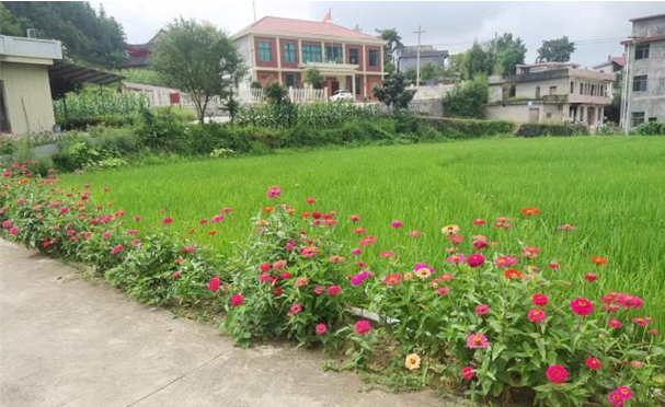 隆回西洋江镇苏河村凝聚统战力量共建同心美丽乡村