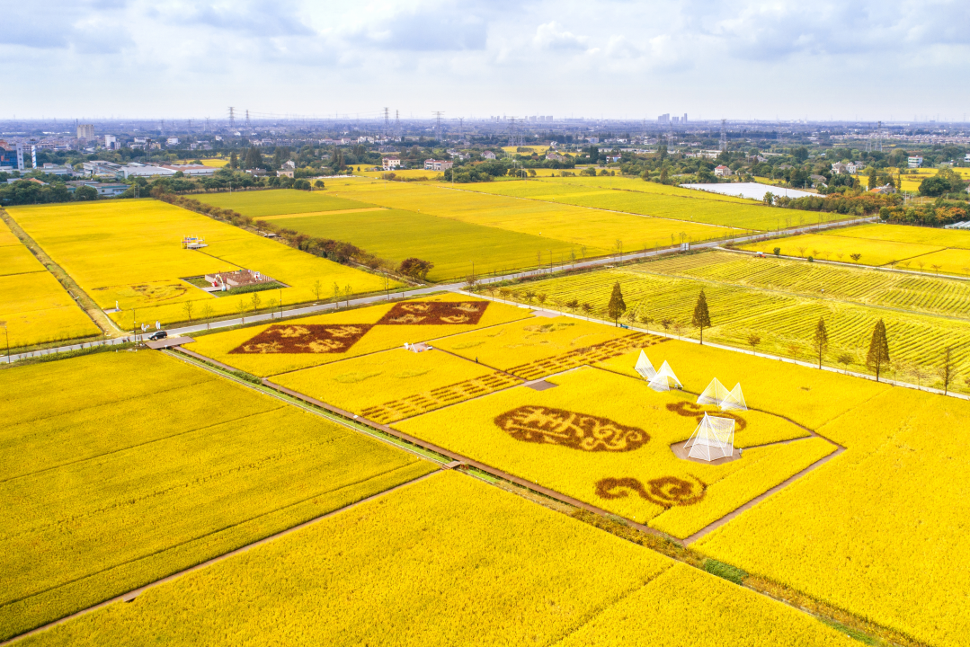 桐乡市濮院镇高质量打造针织时尚小镇