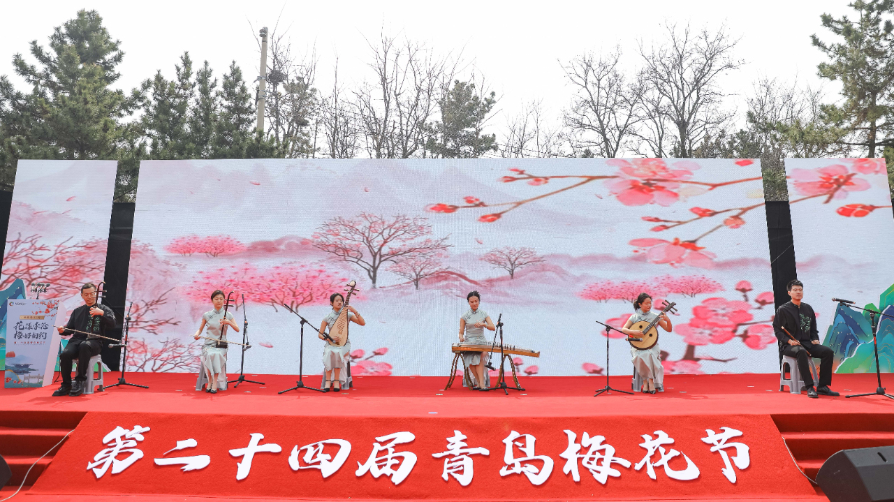 花漾李沧梅好相约第二十四届青岛梅花节盛大开幕