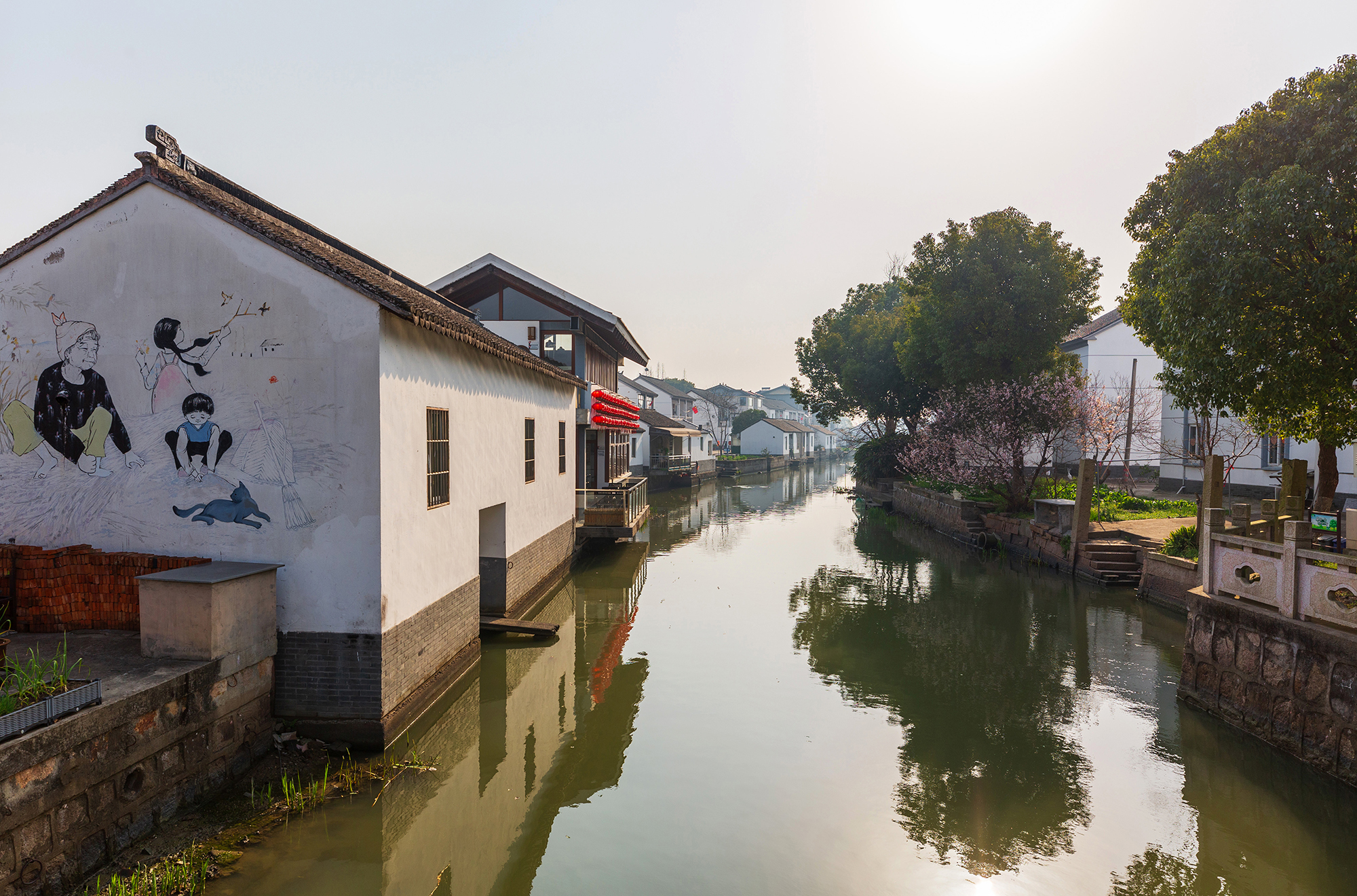 从上海到黎里古镇感受水乡田园的诗意生活