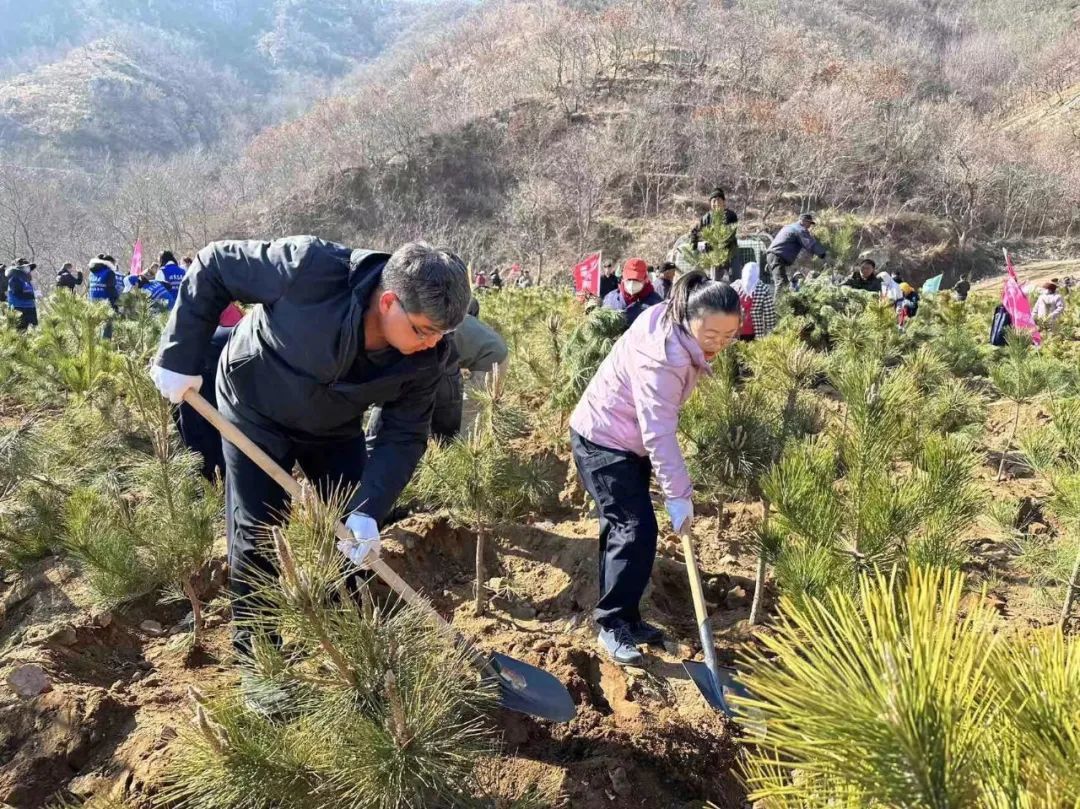 倡树新时代美德健康生活方式 | 孙家疃街道开展义务植树活动