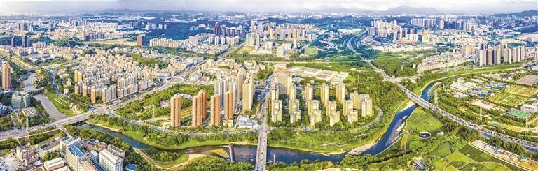 龙华区委召开2023年专项民主监督成果政党协商会